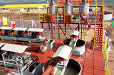 Mongolia 1,000t/d Gold Mineral Processing Plant